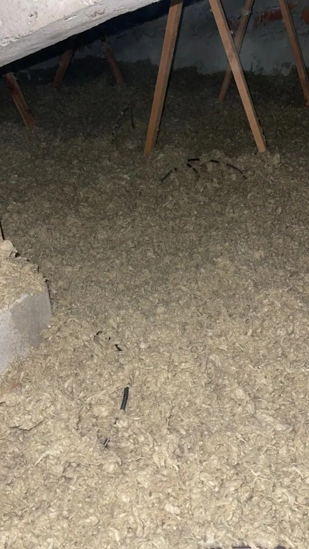 Avant isolation : charpente et couverture nues, chantier d'isolation de toiture à Lamentin