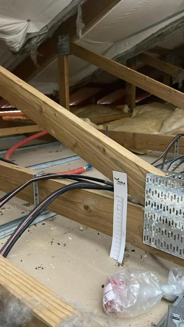 Avant isolation : charpente et couverture nues, chantier d'isolation de toiture à Moule