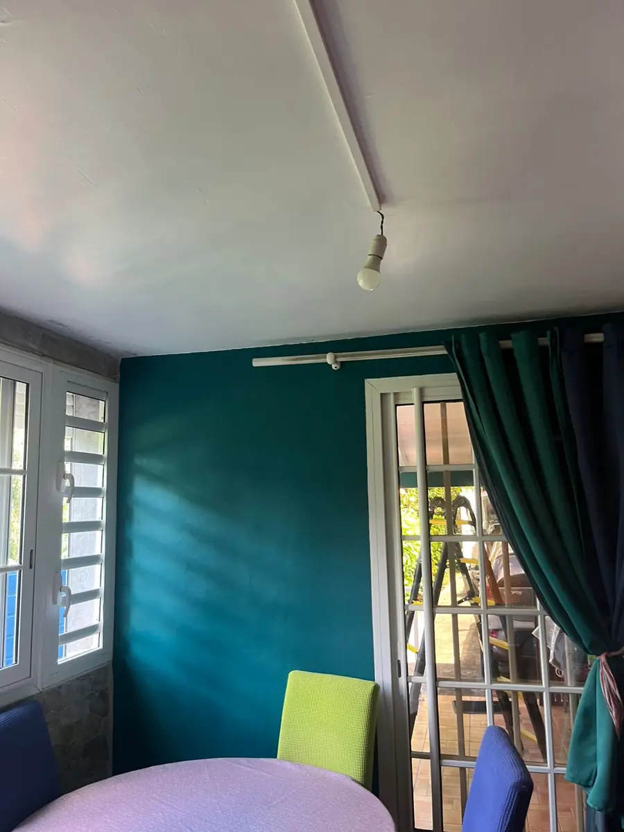 Avant l'installation d'un brasseur d'air par Mes Primes Rénovations : un séjour à mur turquoise