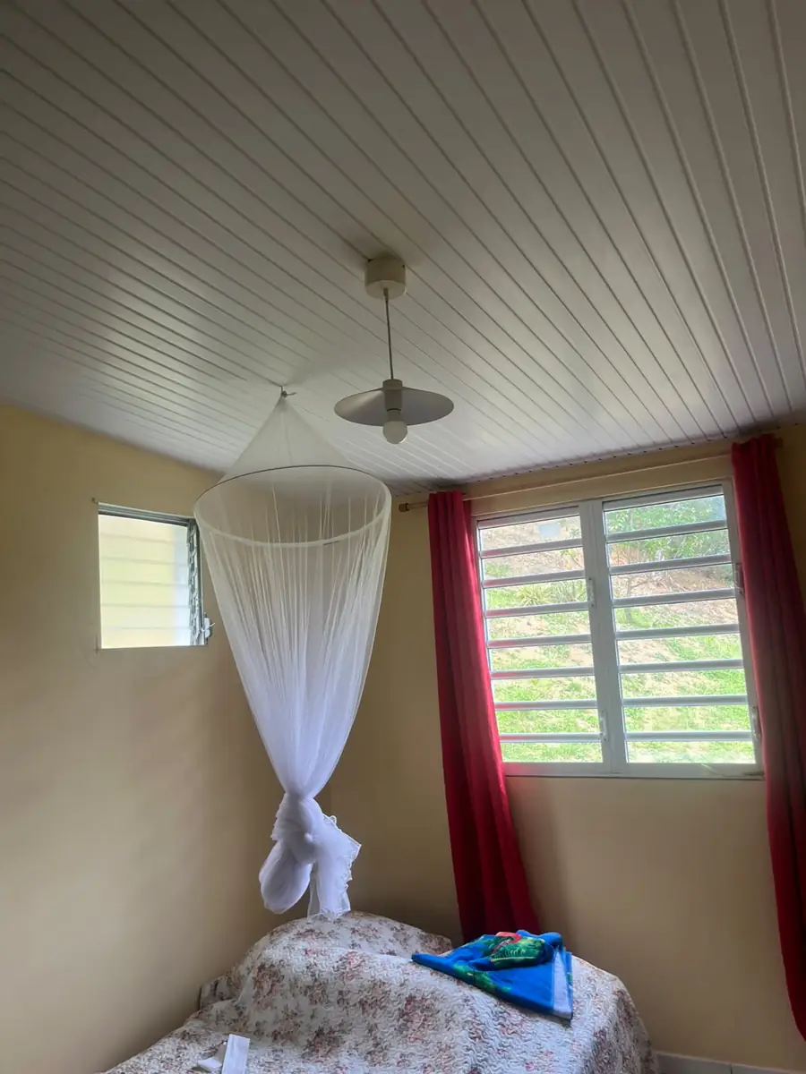 Avant l'installation d'un brasseur d'air par Mes Primes Rénovations : une chambre équipée d'une moustiquaire